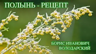 Полынь - рецепт от алтайского старца Бориса Ивановича Володарского