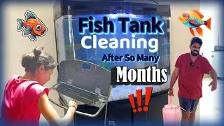 😈Fish Tank Cleaning...🐠 #anjuzlifestyle #funny #tamil