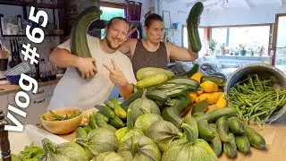 Vlog #65 Gigantische Zucchinis, faule Tomaten, Grundsatzdiskussionen & Baustelle