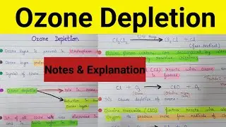 Ozone layer depletion | Depletion of ozone layer | Ozone hole | what is ozone depletion