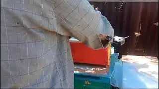 очередное заселение миниплюса по нашей технологии, нашей конструкции
