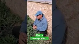 Как я планировал и как оно вышло...