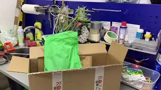 Посылка из питомника!
