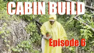 Cabin Build Ep 6 - Cleaning Day
