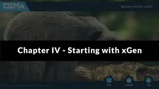 GROOMING COURSE - CHAPTER 004 - XGEN BASICS