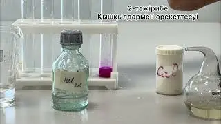 6-зертх