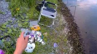 канальный сомик на Десногорском водохранилище...