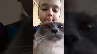 сшорцы с котом 😚😚😚😘🙃😉😊