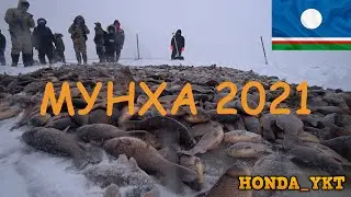 Мунха 2021 Мирнинского района (Мирный, Айхал, Удачный, Сюлдьюкар)