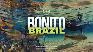 Discover Bonito, Brazil: An Exemplary Ecotourism Paradise