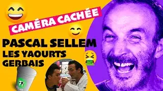 🤮🤢 La dégustation des yaourts Gerbais  🔴 Caméra cachée Pascal Sellem