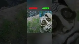 Before vs After: Zookeeper’s Origin Story 2
