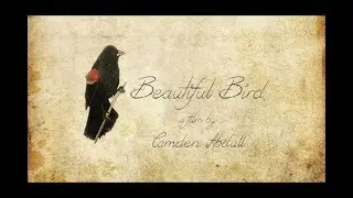 Beautiful Bird by Camden Abdull