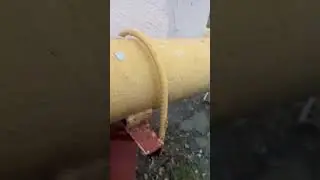 Отрывок из Найс Е меня преследует маньяк финал