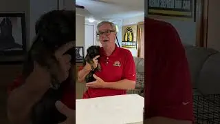 No Pee or Poo Accidents in the House Is POSSIBLE!!! German Shepherd Man #germanshepherdpuppytraining