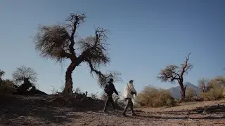 En tierra de algarrobos | Time-lapses nocturnos en Campo de los morteros (Anillaco, Catamarca)
