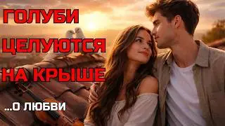 Голуби целуются на крыше - Бархатный мужской голос