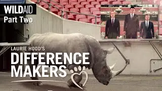 S2 Ep6:  Peter Knights — A Closer Look Inside WildAid and the Illegal Wildlife Trade