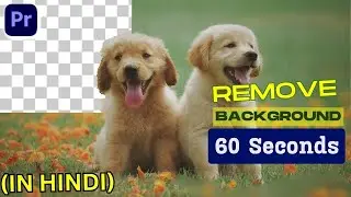 How to Remove Video Background || Adobe Premiere Pro