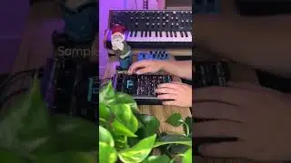 The best sampler 