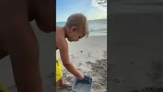 Прелестные детки играют с пляжным песком. Видео на пляже! #swimming #funnybaby #funny #funnyclips