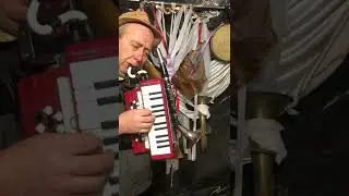 Гармоніка -душа…