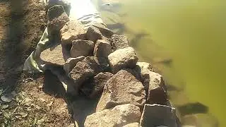 Отзыв о Пленке Винилит от клиента!