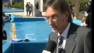 Delfinoterapia, posible cura a problemas cerebrales