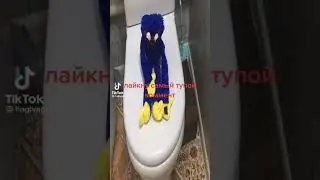 лайк♥️ кто напишет  тупой ответ