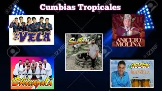 Cumbias Tropicales 002 - Dj Alex
