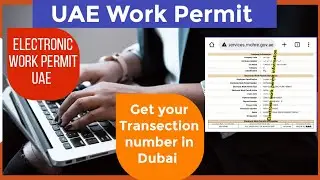 UAE Work Permit 🇦🇪 Electronic work permit UAE 🤔 Get Dubai work permit details & Transaction numbe
