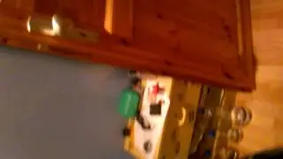 Spinne in meinen Zimmer ?!