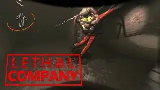 this Lethal Company video will make you laugh...