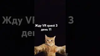 жду VR quest 3 день 11#жду #oculusquest3 #vr #ставьлайк #лайк #кот