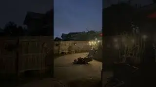 First Amendment Audit on new wave of infectious Bats. Are they grown in US lab?