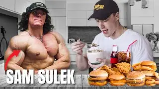 Zkouším den podle Sam Sulek | Spring bulking