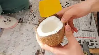 Hindistan cevizi en kolay nasıl soyulur?