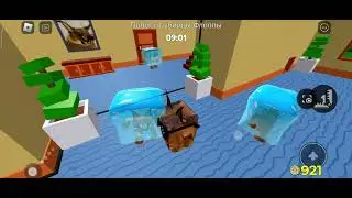 играю во флоппу
