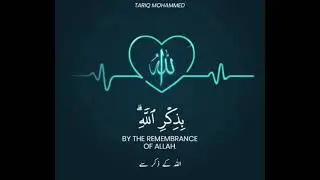 surah ar raad | Ayah 28 | Tariq Mohammed