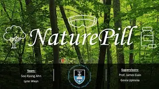NaturePill Creating a Realistic and Immersive VR Environment Capturing Relaxing Properties of Nature