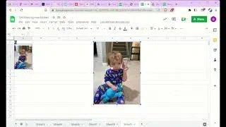 Spreadsheet 2 (INF2080) 4.3.1: Insert, move, and resize images