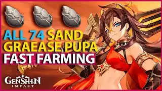 ALL 74 Sand Grease Pupa Locations FAST FARMING Route Genshin Impact Dehya Ascension Material