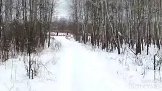 Егерь на 100 метров тест Пуль SD