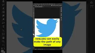 Content Aware Tracing Tool in Photoshop