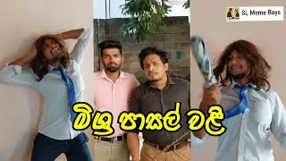 මිශ්‍ර පාසල් වළි| SL Meme Boys