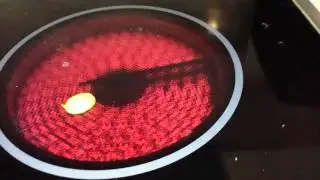 AMAZING MAGIC ! What happens when we put boxwood leaf on the stove