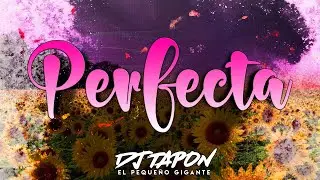 PERFECTA ✘ DJ TAPON