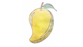 How to Draw Mango #Drawing #Howtodraw #2024 #DrawingByTulsiram #Sketch #Popular #IllustrationInspo