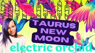 TAURUS NEW MOON | ABUNDANCE & INTUITION | SUN SIGN HOROSCOPES
