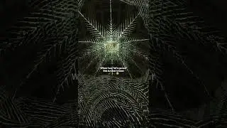 An immersive light show | Fever